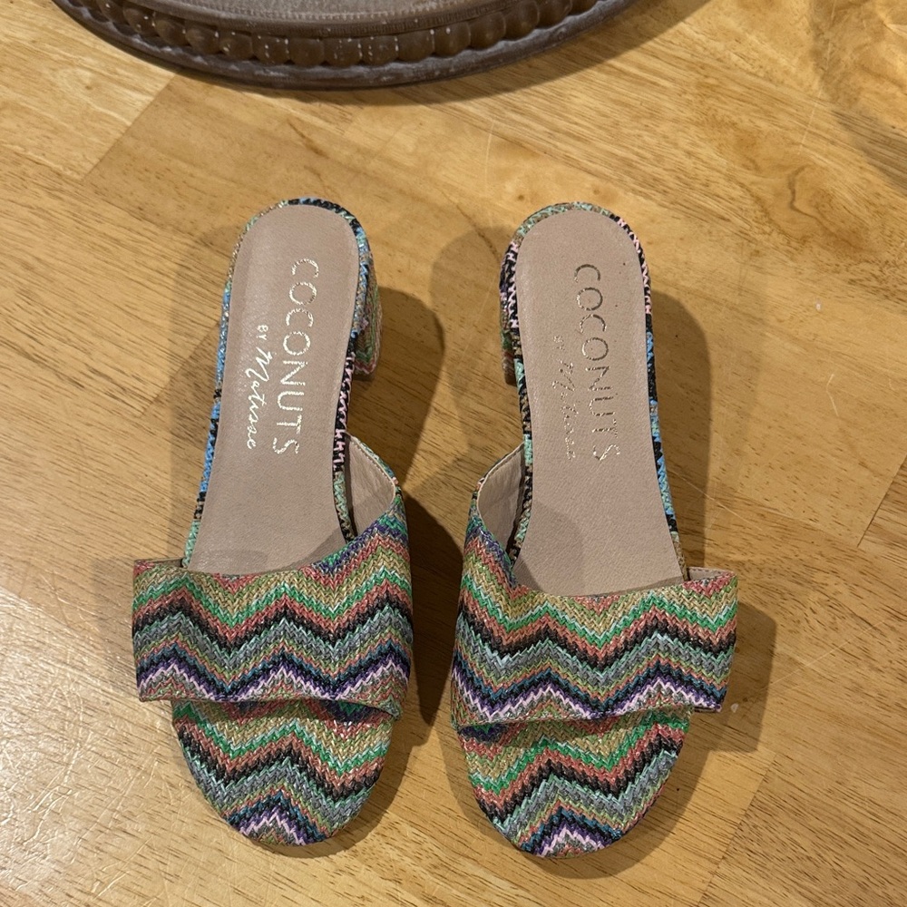 Coconuts by Matisse Zigzag Multicolor Mules